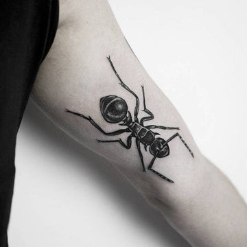 Ant Tattoo