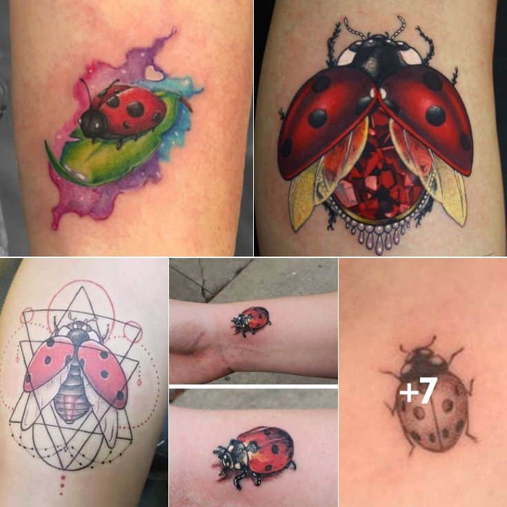 What Do Ladybug Tattoos Mean