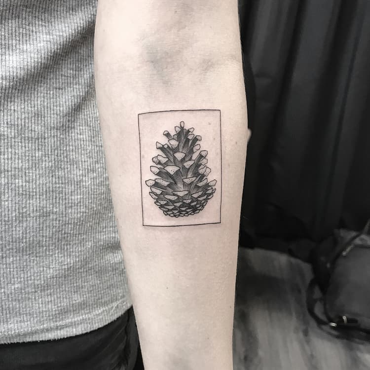 Pine Cone Tattoo