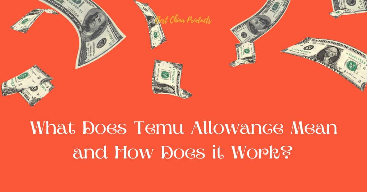 What Does Temu Allowance Mean