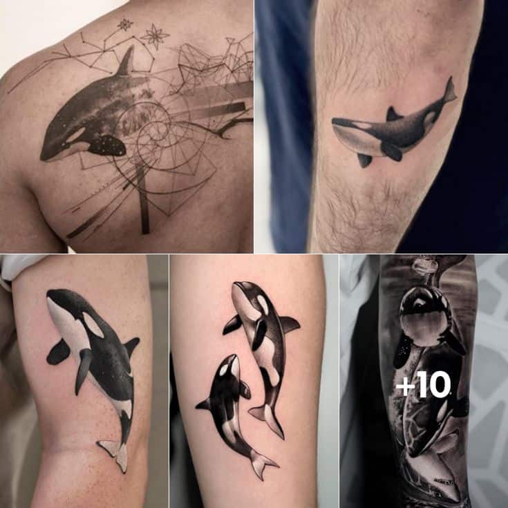 Orca tattoo