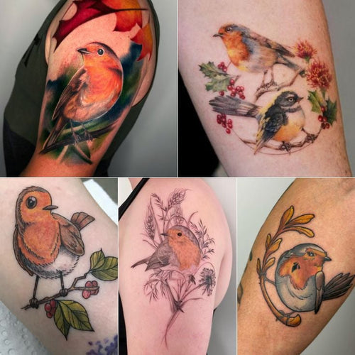 Tattoo of a Robin