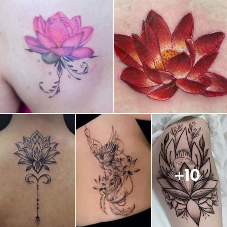 What is the Meaning of a Lotus Tattoo