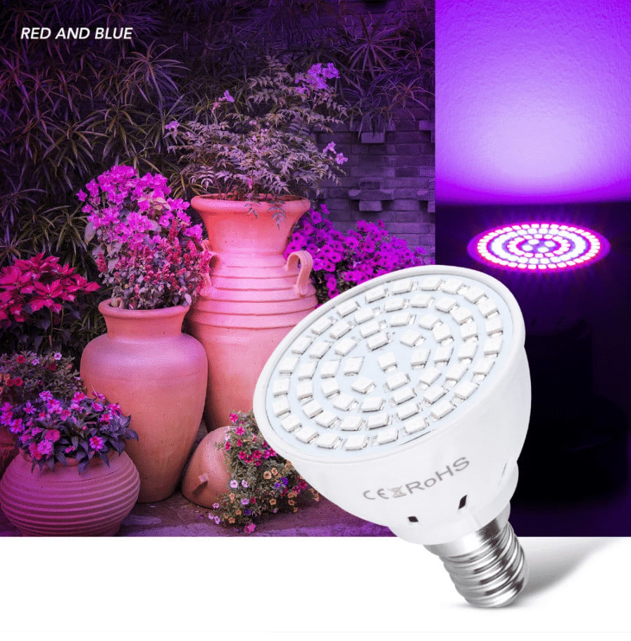 What is the Best LED Grow Light from China?