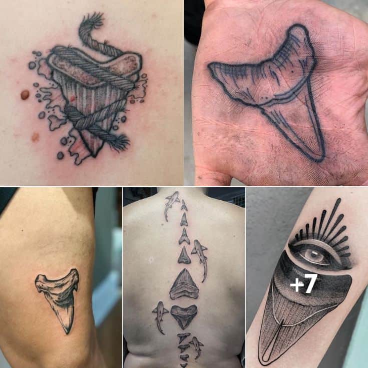 meaning of a shark tooth tattoo